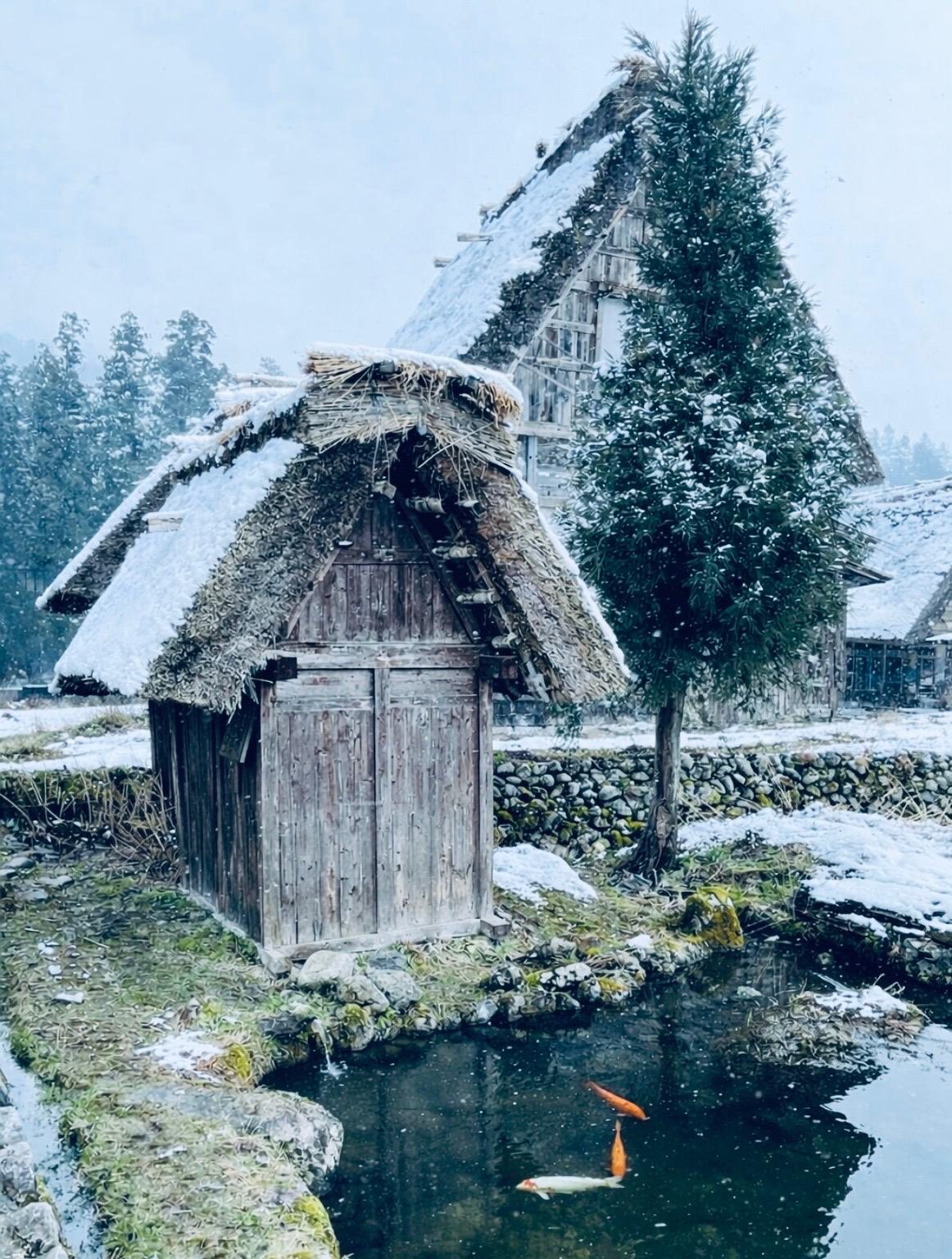 Traditional thatched-roof house in Shirakawa-go