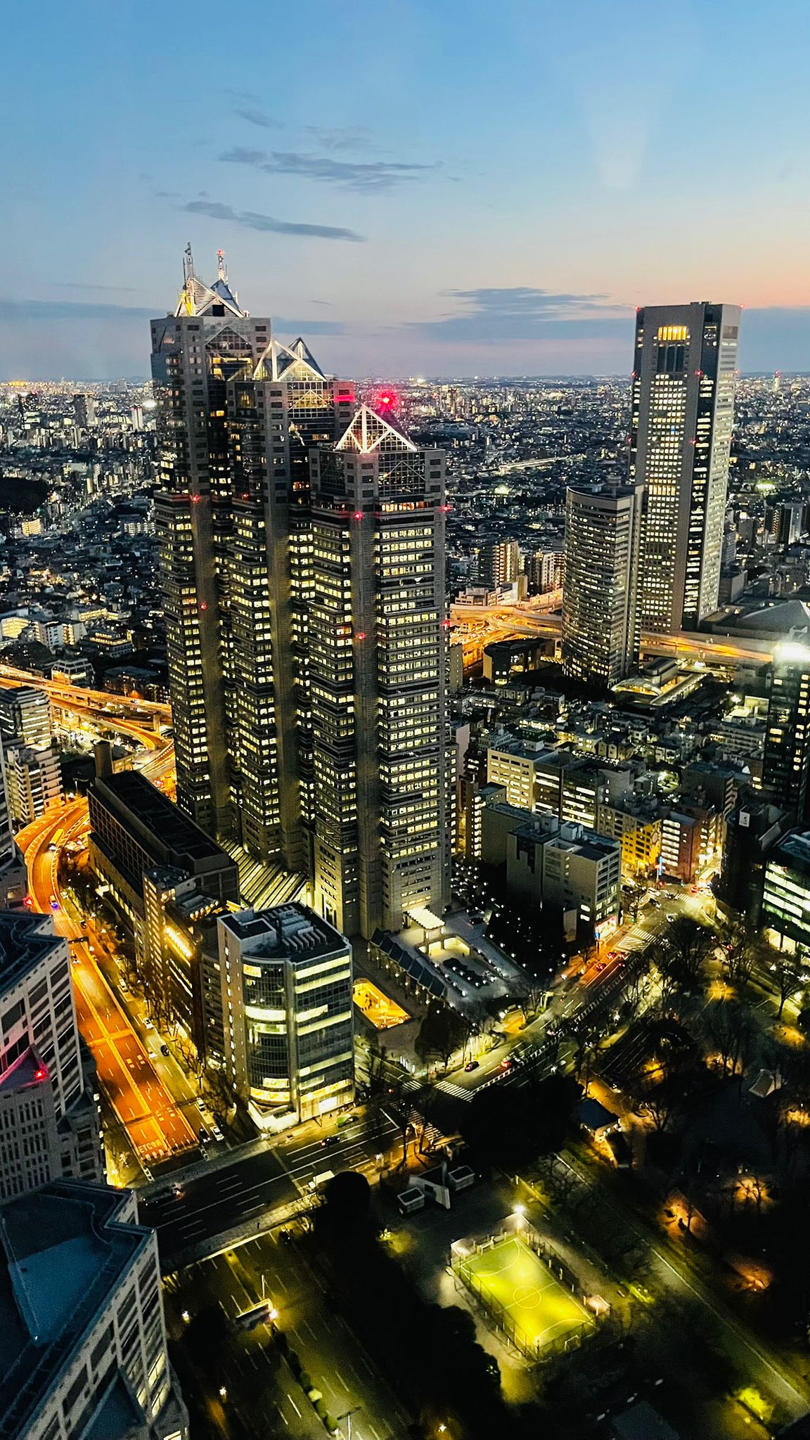 Tokyo skyline at sunset